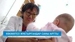КӨКЖӨТЕЛ ЖҰҚТЫРҒАНДАР САНЫ АРТТЫ