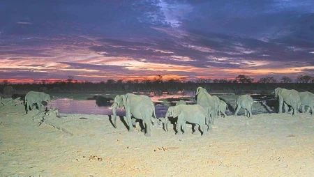 Hideaways Camp Kuzuma - African Watering Hole - Chobe